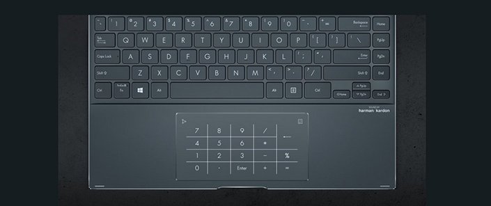 ASUS Zenbook Flip 13 UX363EA Pine Grey